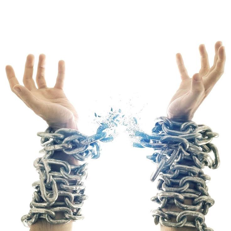 Consultation Service